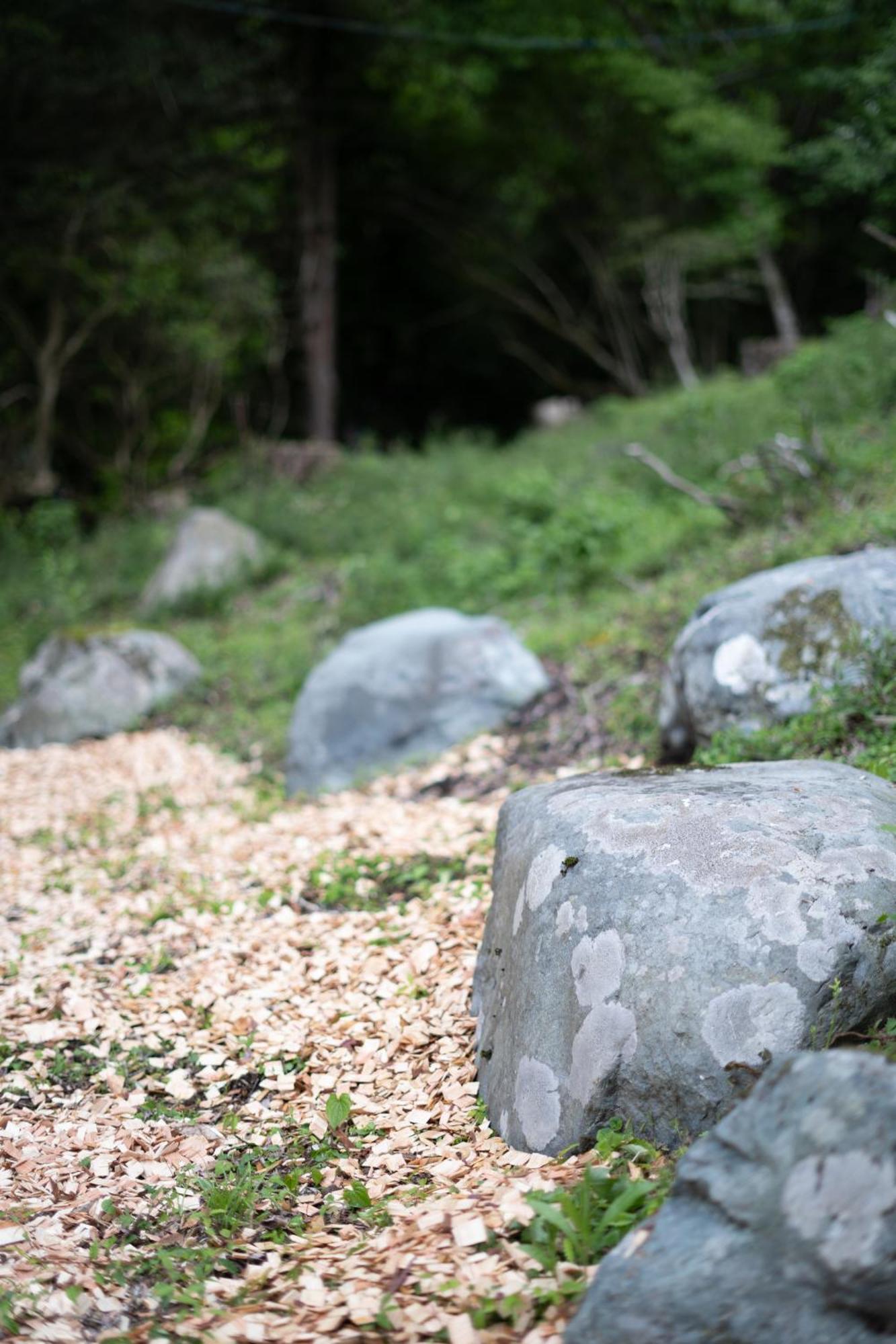 Aknot Hakone 大涌谷を望むモダニズム建築 東京から90分 Villa Buitenkant foto