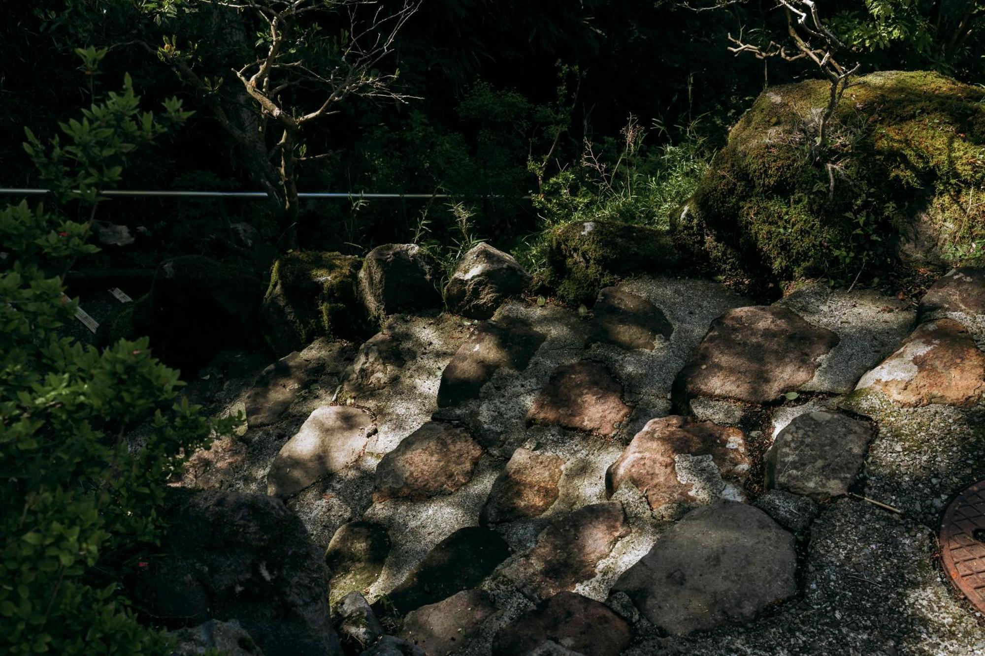 Aknot Hakone 大涌谷を望むモダニズム建築 東京から90分 Villa Buitenkant foto