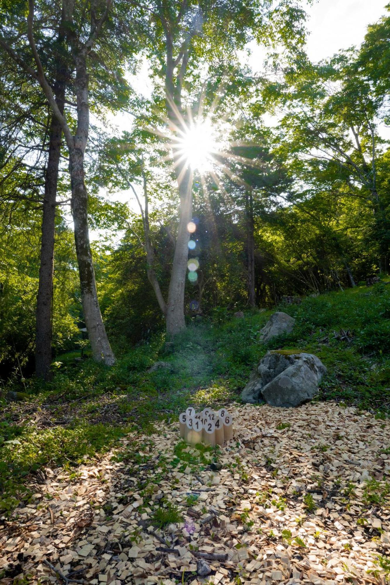 Aknot Hakone 大涌谷を望むモダニズム建築 東京から90分 Villa Buitenkant foto